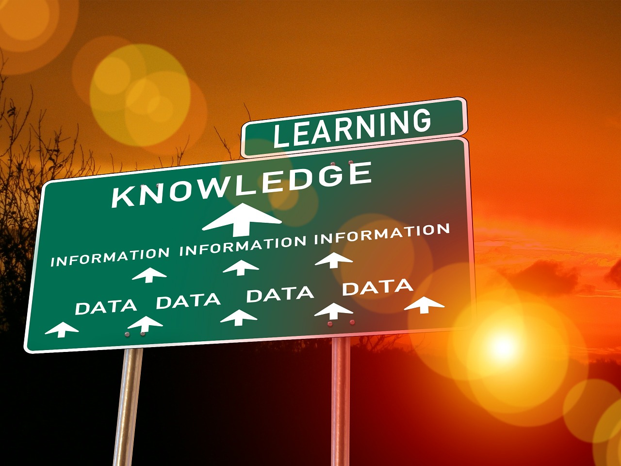 road sign with the words knowledge and learning