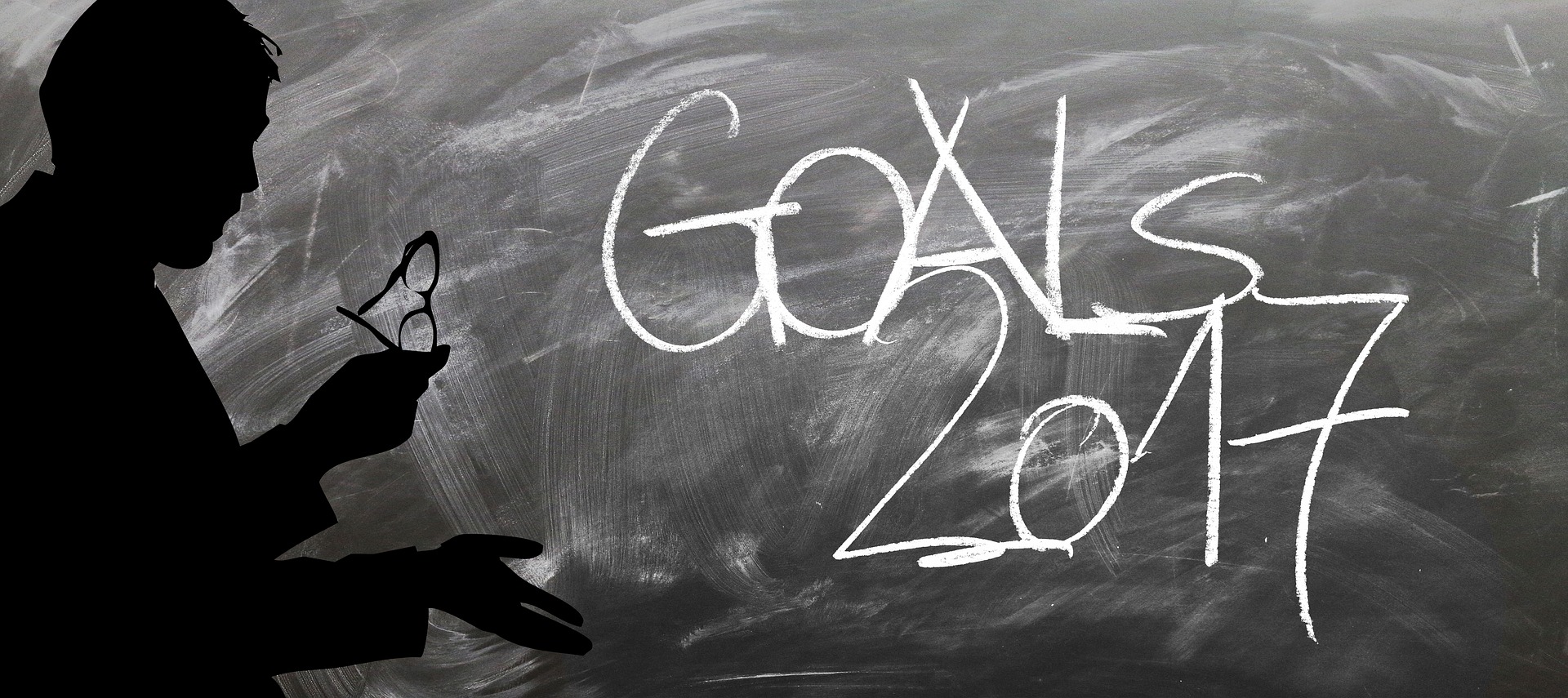 Goals 2017